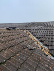 roofing Ringwood